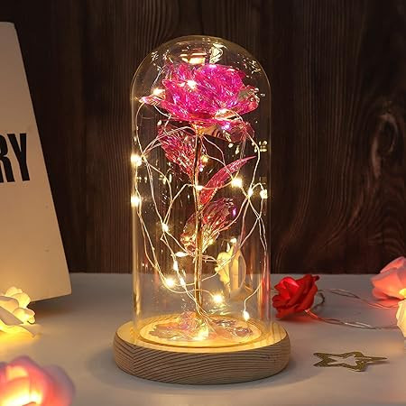 Colorful Enchanted Flower Rose, LED Light String on The Colorful Flower,Lasts Forever in A Glass ... | Amazon (US)