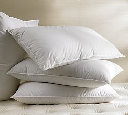 Westin® All Down Pillow | Pottery Barn (US)