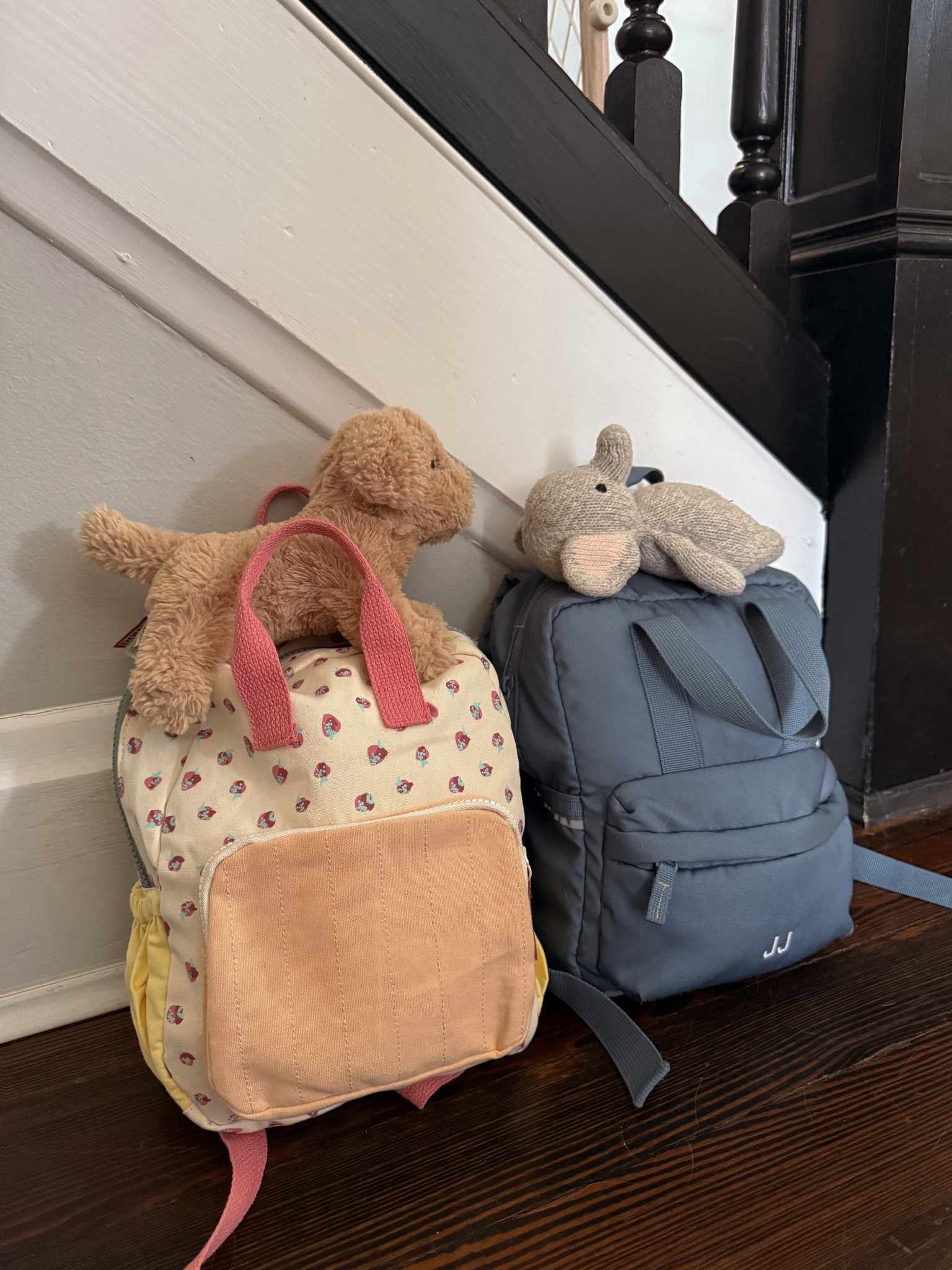 Toddler backpacks and their favorite stuffed animals 🫶🏼

#LTKBaby #LTKKids