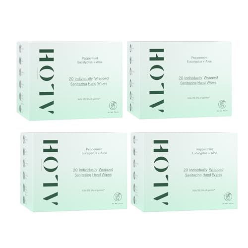 ALŌH Skin - Softening Sanitizing Hand Wipes - Peppermint Eucalyptus + Aloe (4 Boxes of 20 Individually Wrapped Wipes (80 wipes)) | Amazon (US)