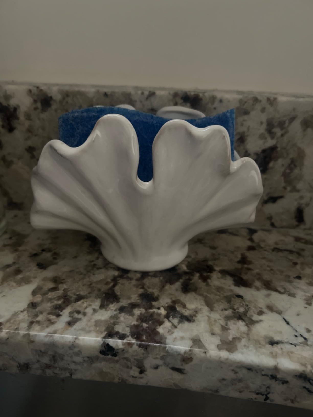 Ceramic Sponge Holder,Sponge Holder for Kitchen Sink,Compact Sink Caddy Organizer-Scouring Pad an... | Amazon (US)