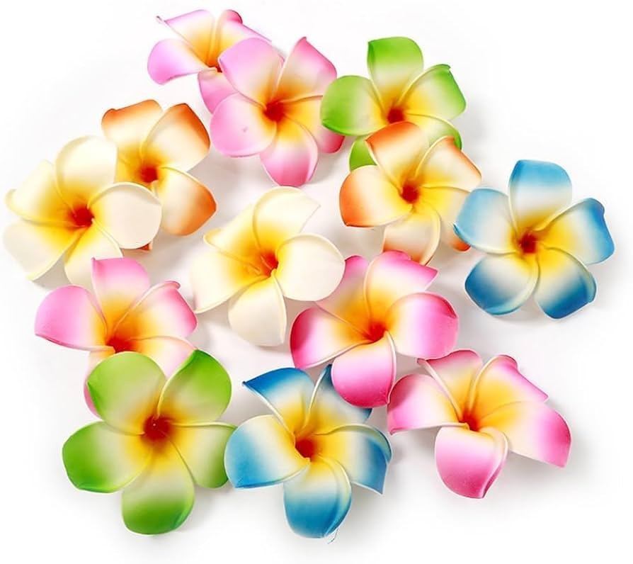 10Pcs Multicolor Hawaii Plumeria Flower Clips Hawaiian Flower Hair Barrettes Beach Party Hair Cli... | Amazon (US)