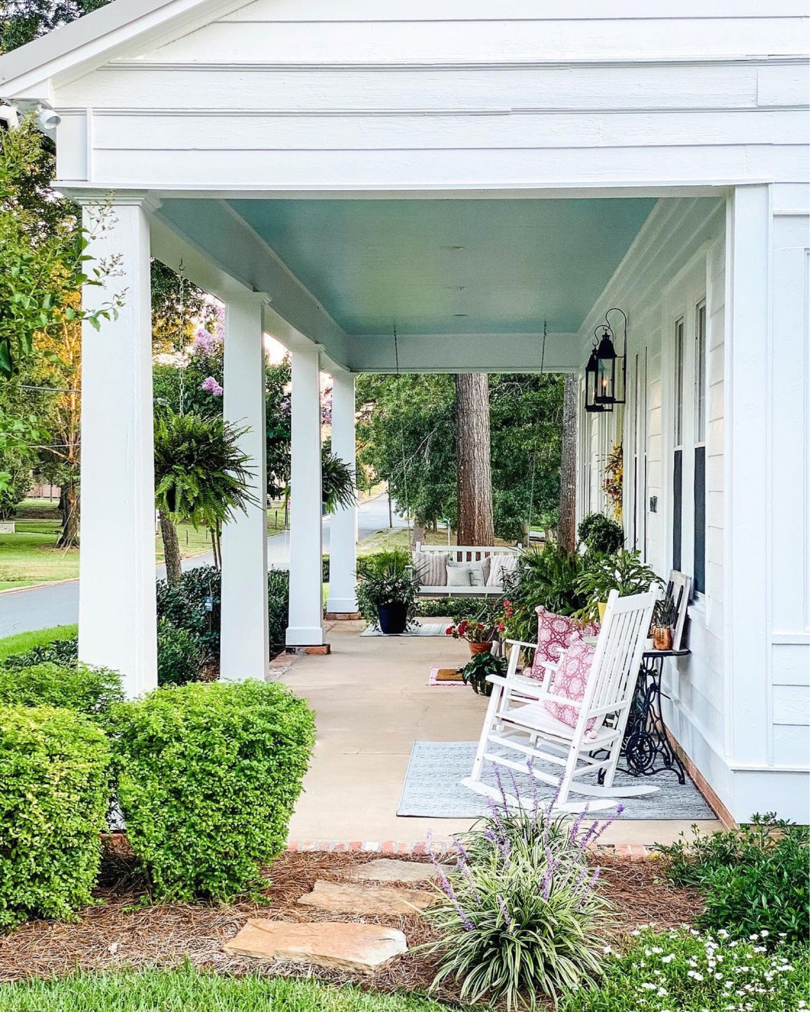 Exploring the plants and flowers in my yard is a journey that reveals the beauty and diversity of nature as well as God's grace. Together, the flowers and shrubs create a symphony of colors, fragrances, and textures, making my yard a sanctuary of natural wonder.

plant care, plants, walmart finds, flower care, gardening, gardening tips
