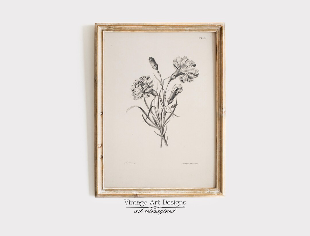 Antique Print, Vintage Art, Antique Art, Sketch Downloadable Art, Neutral Wall Art, Vintage Print... | Etsy (US)