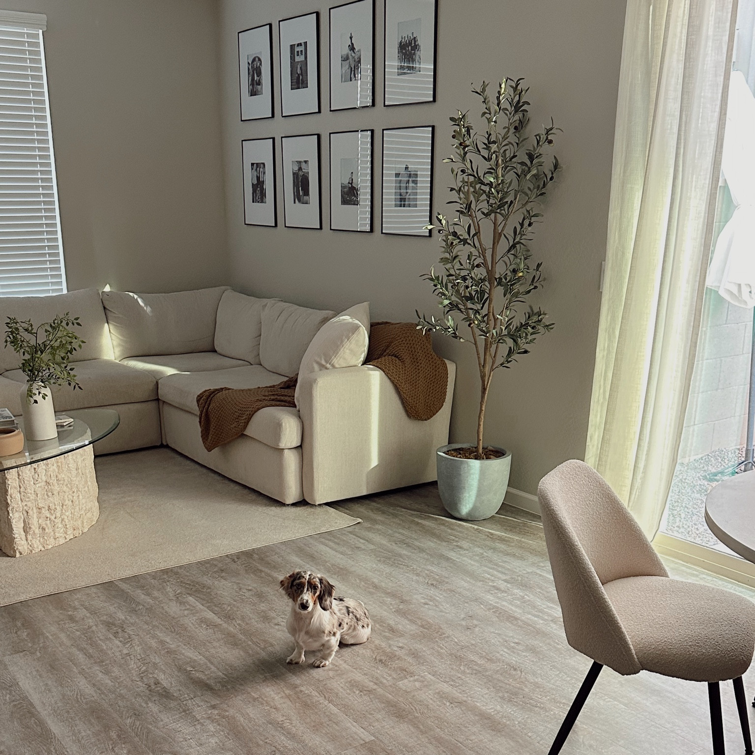 Amazon home decor!🤍#LTKSummerSales

#LTKFindsUnder50 #LTKxNSale