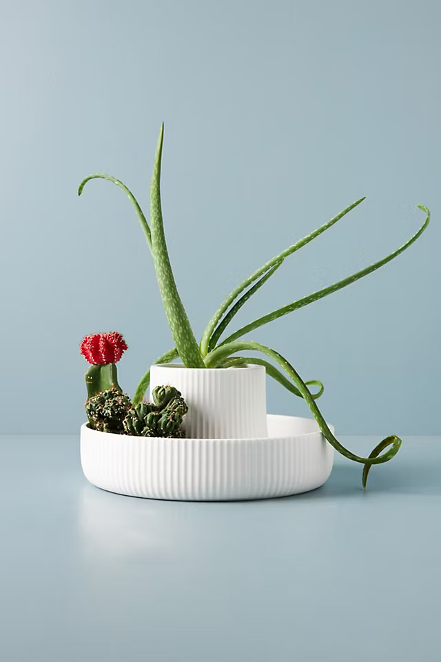 Fountain Planter | Anthropologie (US)