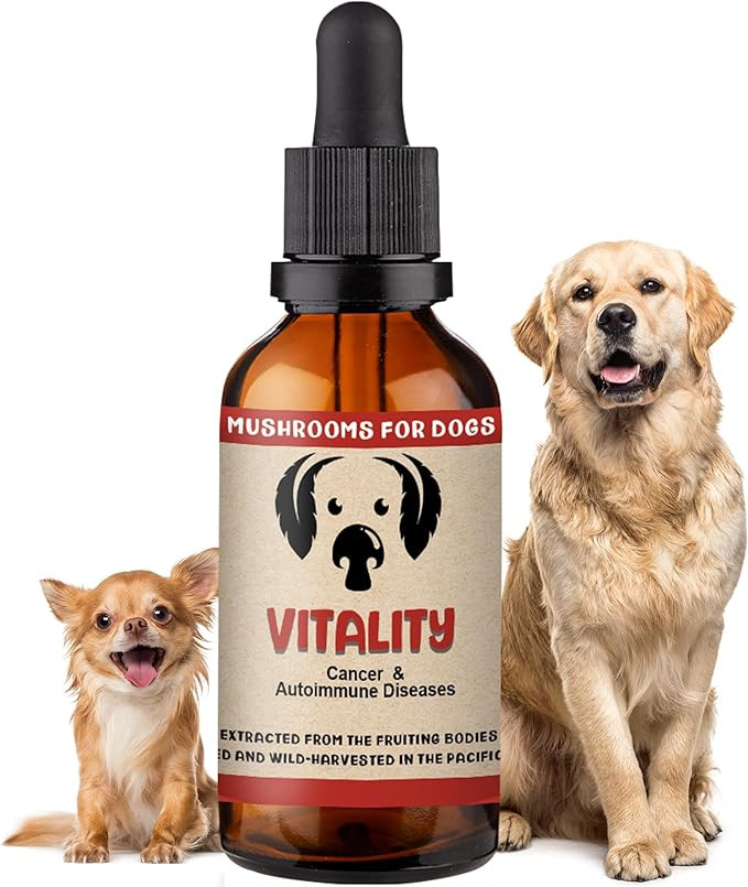 MycoDog Vitality Mushroom Extract & Adaptogen Tincture - Mushroom & Ashwagandha Supplements for D... | Amazon (US)