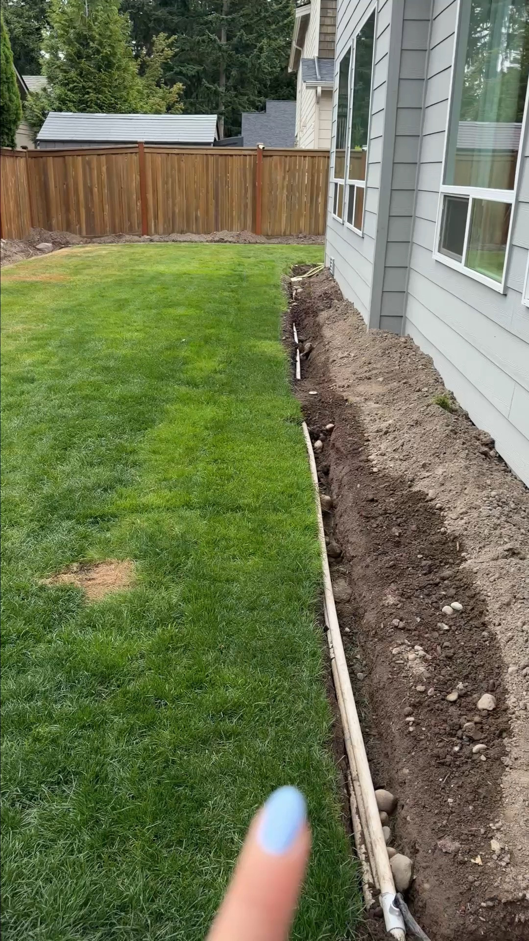BACKYARD MAKEOVER PART 2! After pouring concrete, I wanted to soften it up with lots of new plants. But before we could do that, our entire sprinkler system had to be dug up and rerouted! The backyard was crazy messy for weeks.

Once we were able to plant, we went from 0 plants to 18 emerald green trees and 32 hydrangeas and they made the biggest difference! I knew nothing about plants before and now I learned so much about hydrangeas. Come back for Part 3, the final reveal! #backyardmakeover #backyarddesign

#LTKhome #LTKsummer