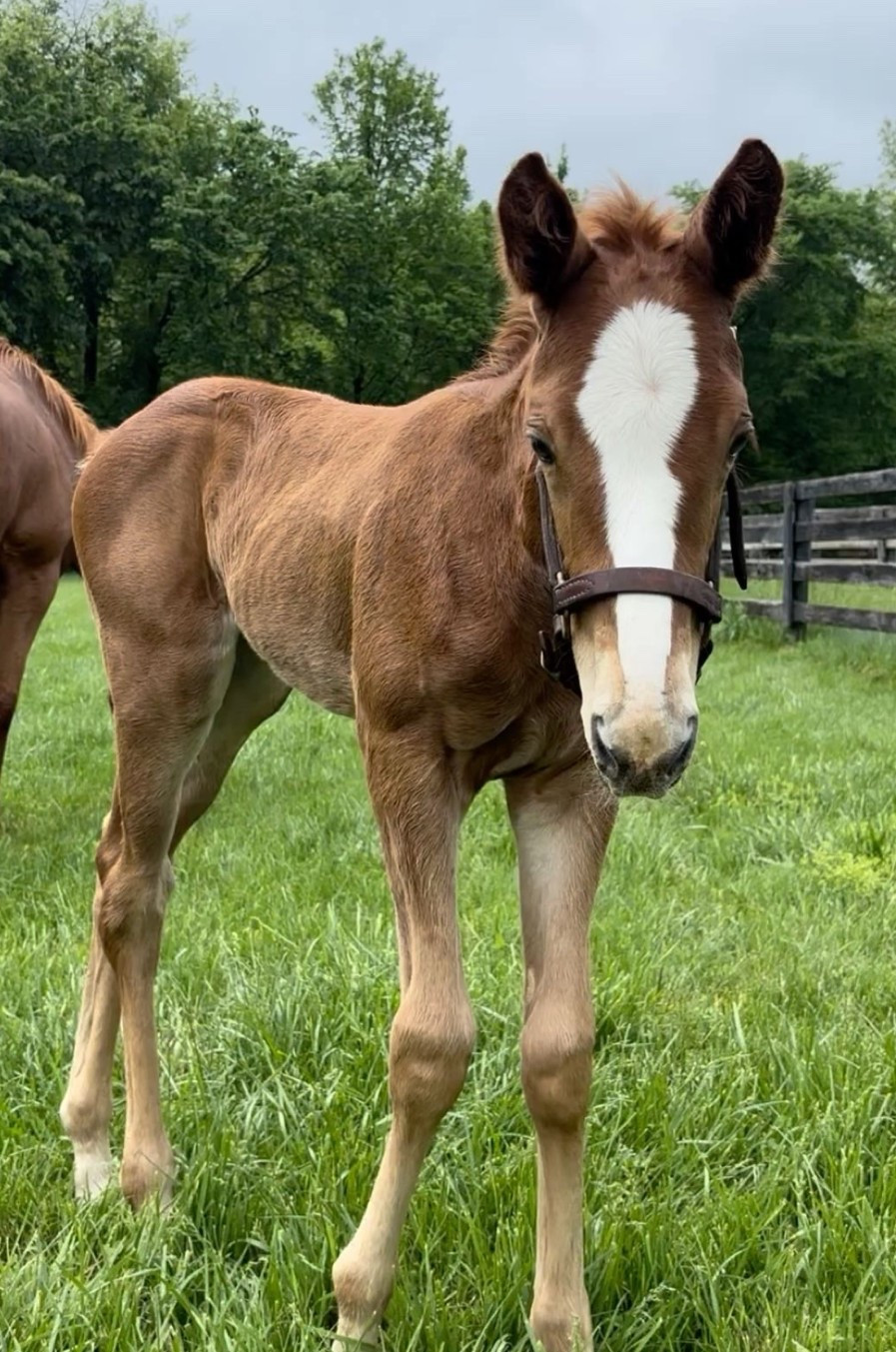 I lied my baby turns 2 April 24th 😭😭😭 not done with our April birthdays yet!