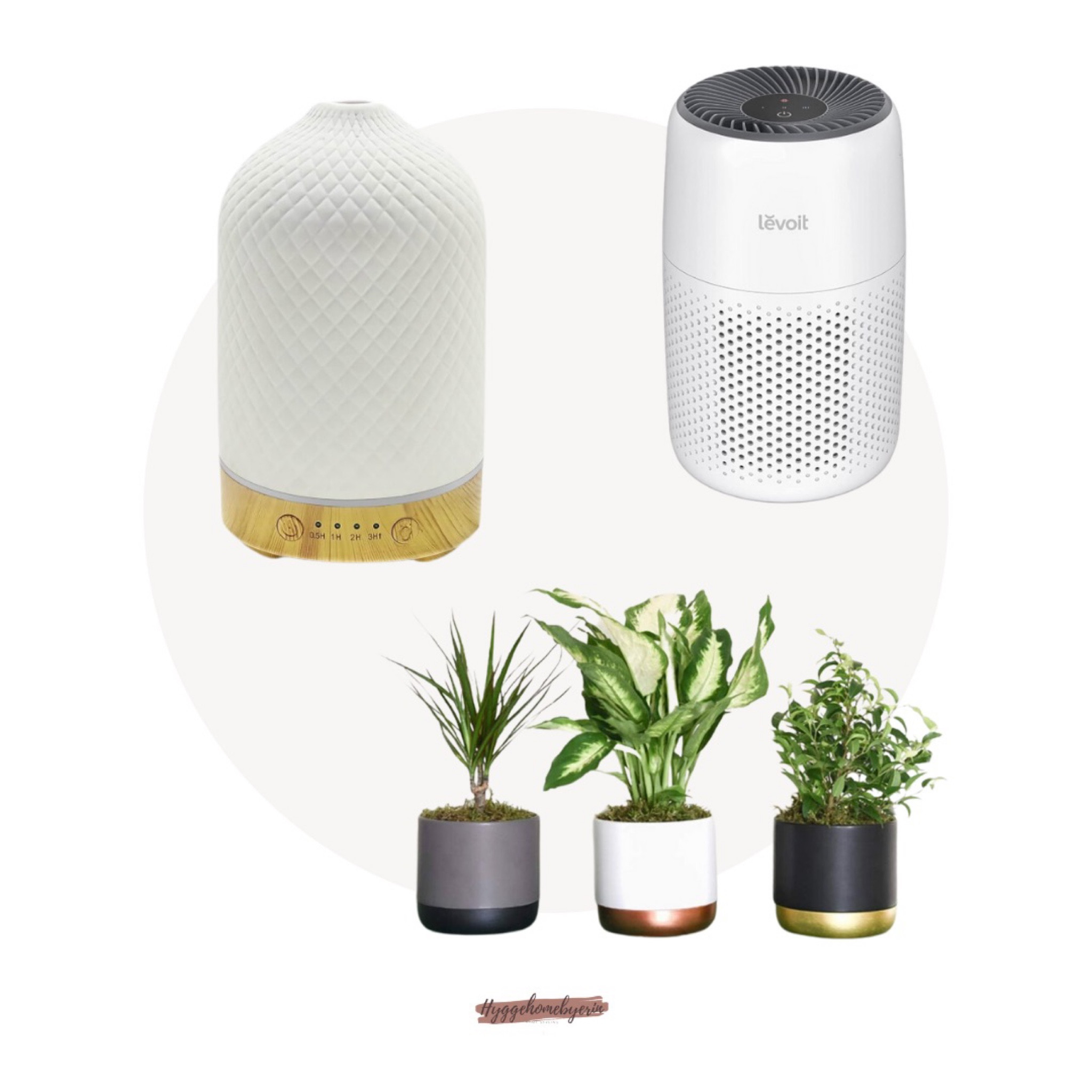 Amazon finds for your home and clean air 