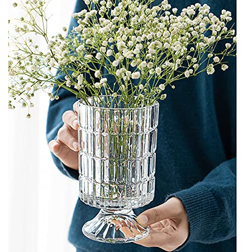 Modern Ribbed Glass Vase with Embossed Base - Clear Hydroponic Design for Home Decor, Wedding Party Living Room, Dining Table Floral Arrangement Centerpiece | Amazon (US)