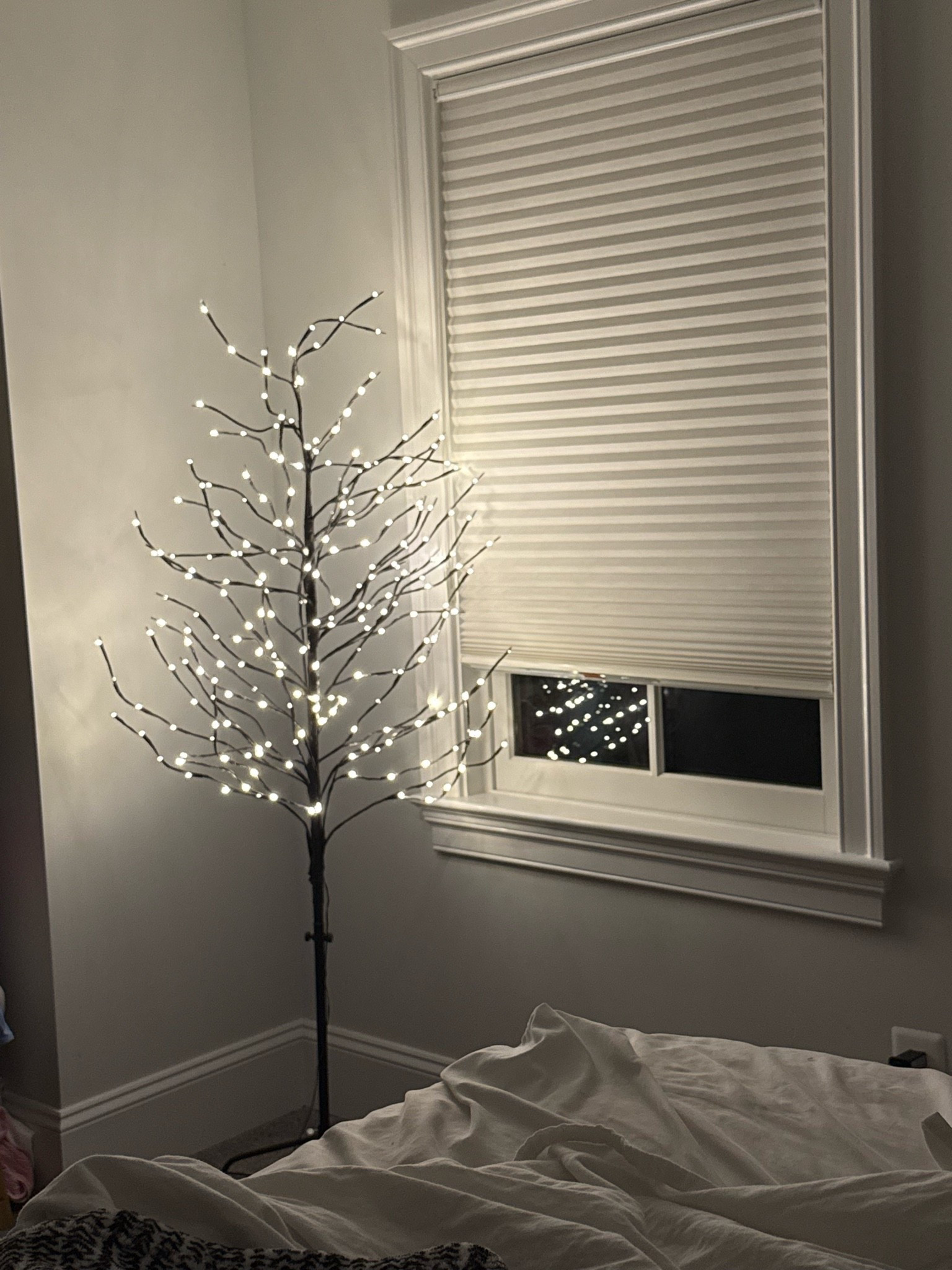 Cutest Amazon tree 🌲

#LTKvlog