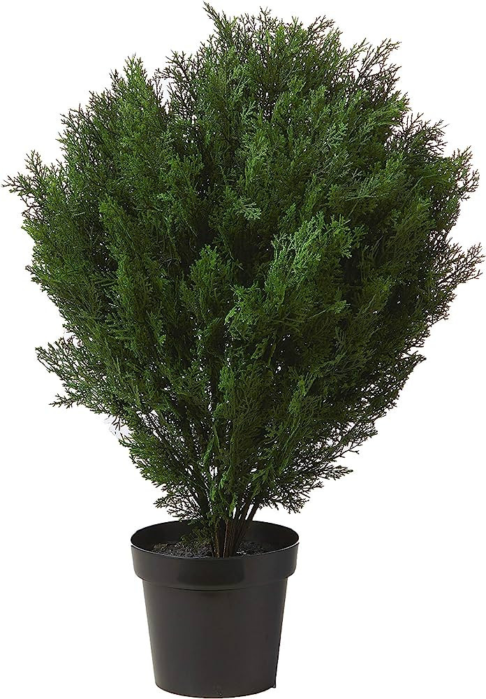 Nearly Natural 6881 3â€™ Cedar Artificial Bush (Indoor/Outdoor),Green | Amazon (US)