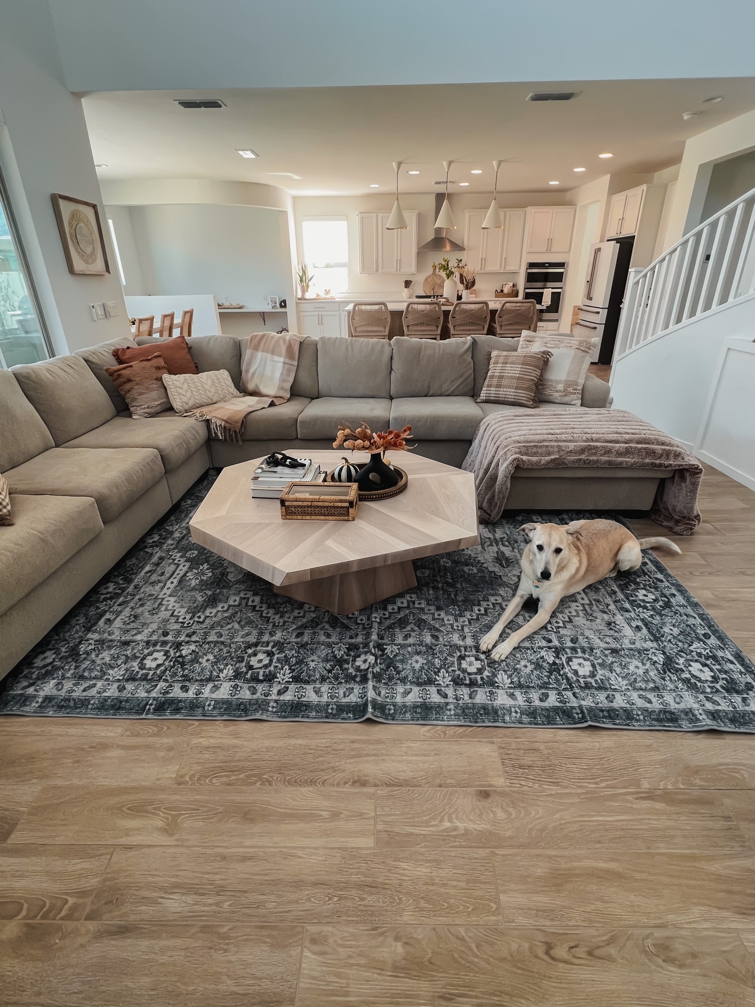 Updated fall home decor!

Amazon finds, area rug is washable, coffee table, coffee table fall decor, Amazon home books, table books, couch, target pillows, affordable home finds 

#LTKSeasonal #LTKhome #LTKHalloween