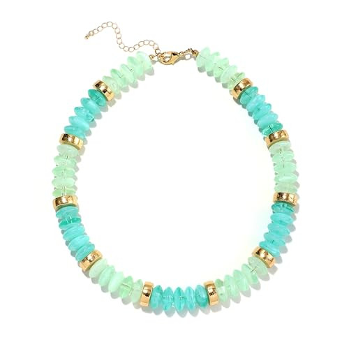 Amazon.com: RISHEGAE Chunky Beaded Necklace for Women Boho Resin Beaded Choker Necklace Adjustabl... | Amazon (US)