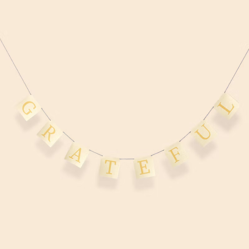 Thanksgiving Reusable Party Banner 'Grateful' Brown - Spritz™ | Target