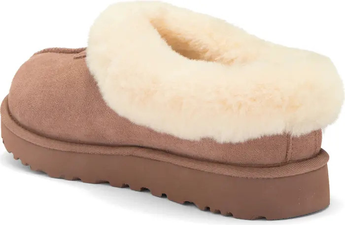 Tazzette Genuine Shearling Collar Slipper (Women) | Nordstrom