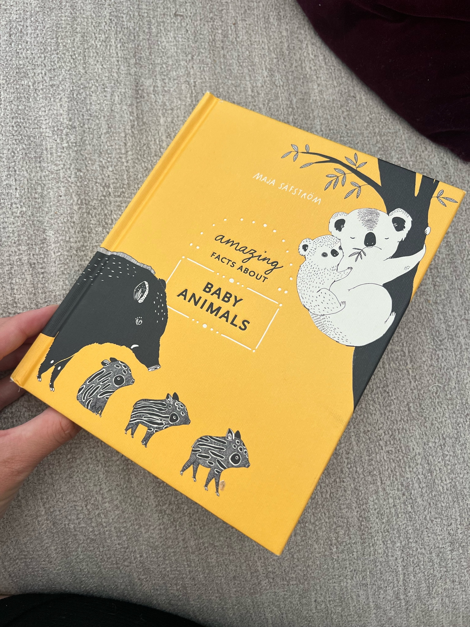 Super cute black and white book that is actually interesting to read to infants! #baby #newborn 

#LTKFindsUnder50 #LTKBump #LTKBaby