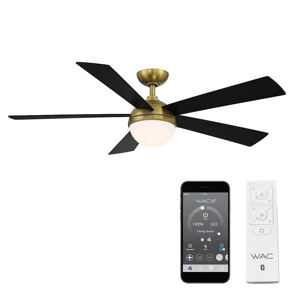 WAC Smart Fans Eclipse Indoor and Outdoor 5-Blade Smart Home Ceiling Fan 54in Satin Brass Matte B... | Amazon (US)