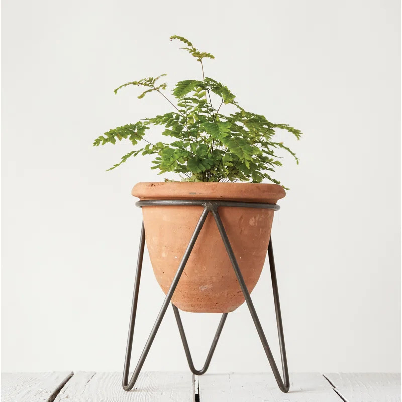 Terracotta Pot with Metal Stand (Pot with Stand) | Wayfair North America