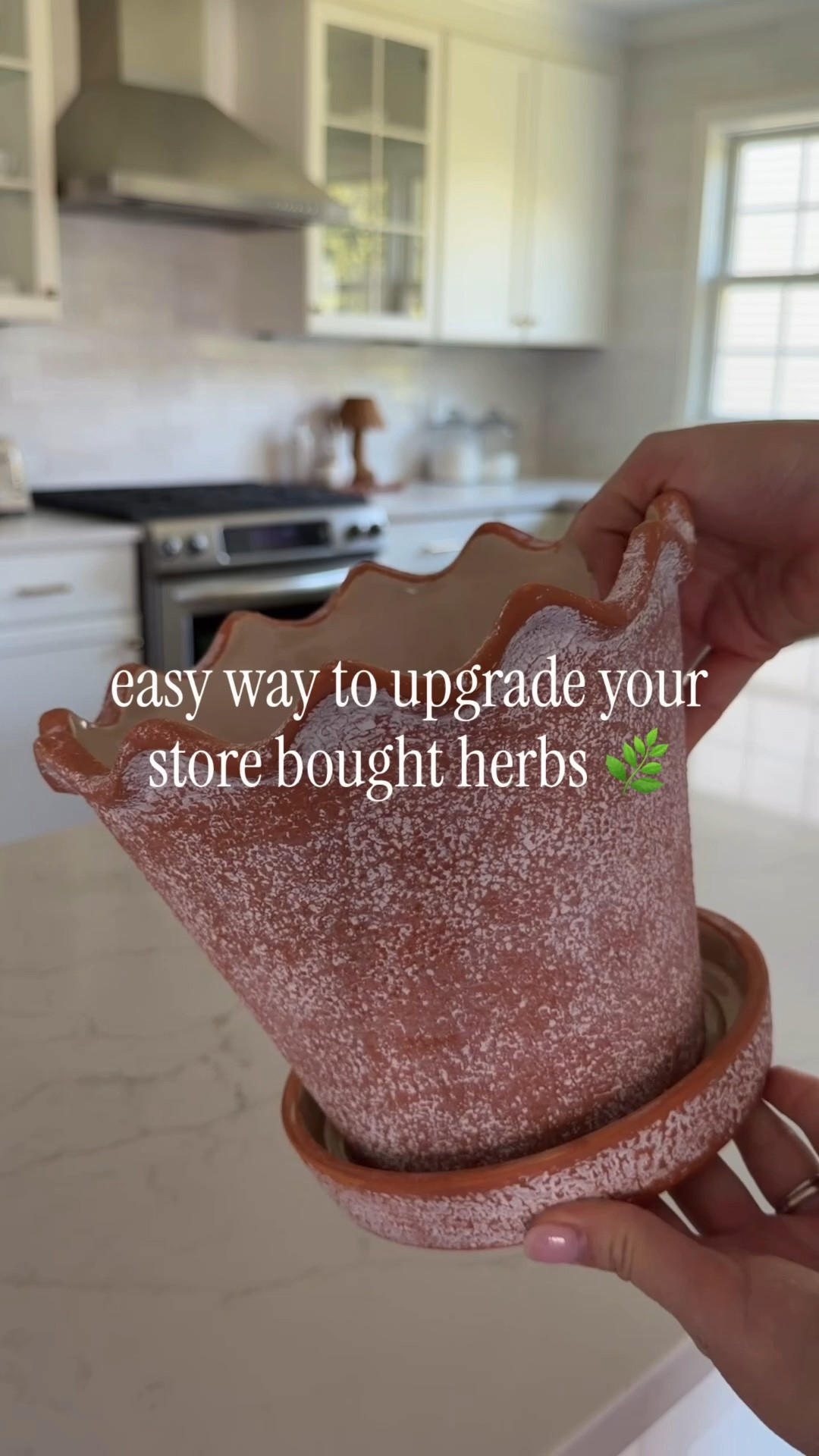 One of the easiest ways to upgrade those Walmart herbs 🌿

A simple terra cotta planter instantly makes them look so much prettier on your kitchen counter and helps create that cozy cottage kitchen feel.

#walmartfinds #walmarthome #herbgarden #kitchendecor #gardenfinds #summerdecor #homefinds #affordabledecor