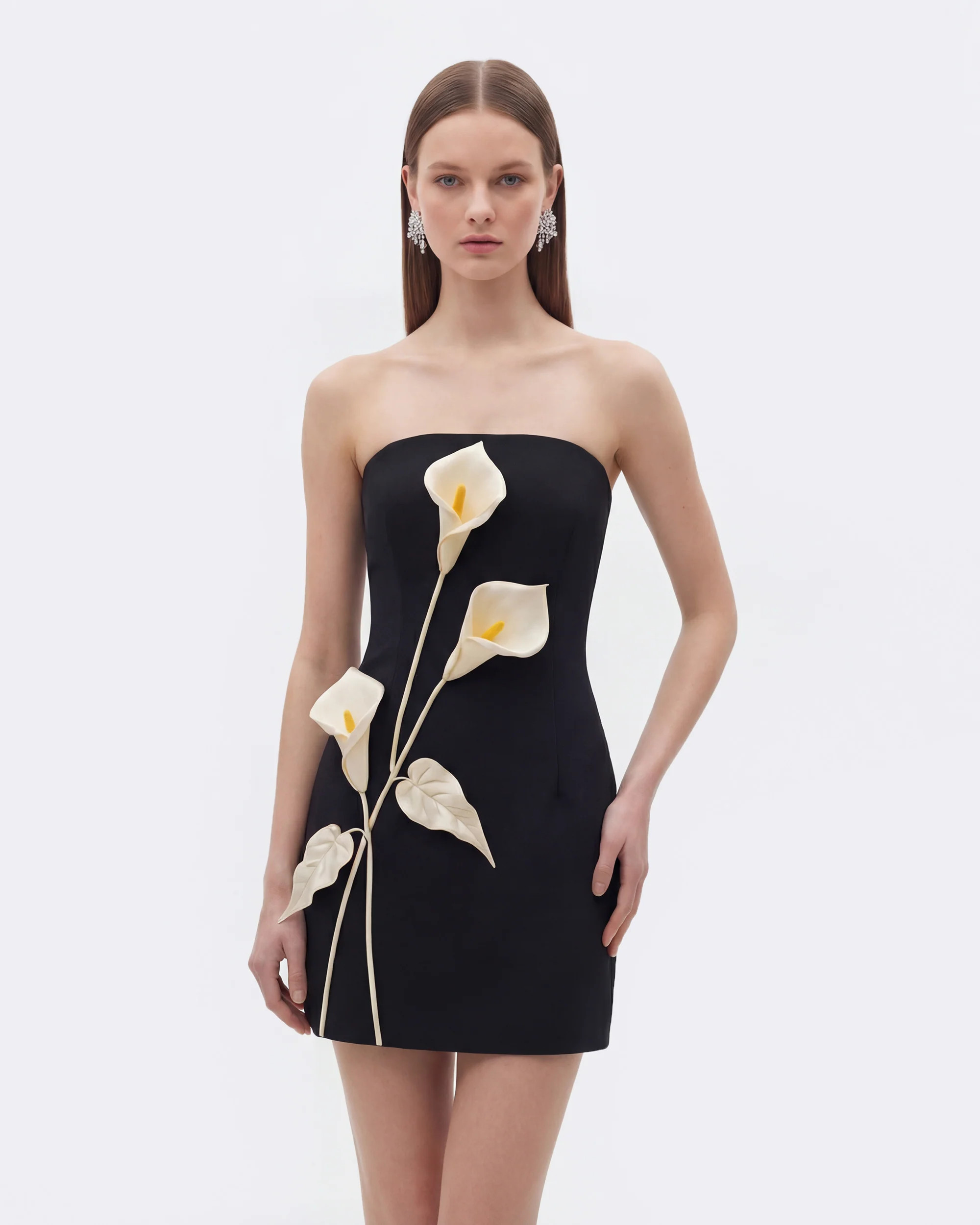 Strapless Floral Appliqué Dress - Black | JW PEI US