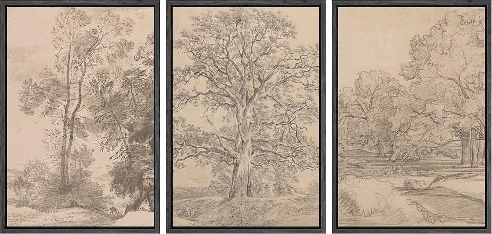 Ashbrook Framed Canvas Print Wall Art Set Retro Vintage Sketchbook Forest Country Landscape Farmh... | Amazon (US)