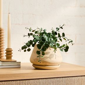 Faux Eucalyptus Potted Plant | West Elm (US)