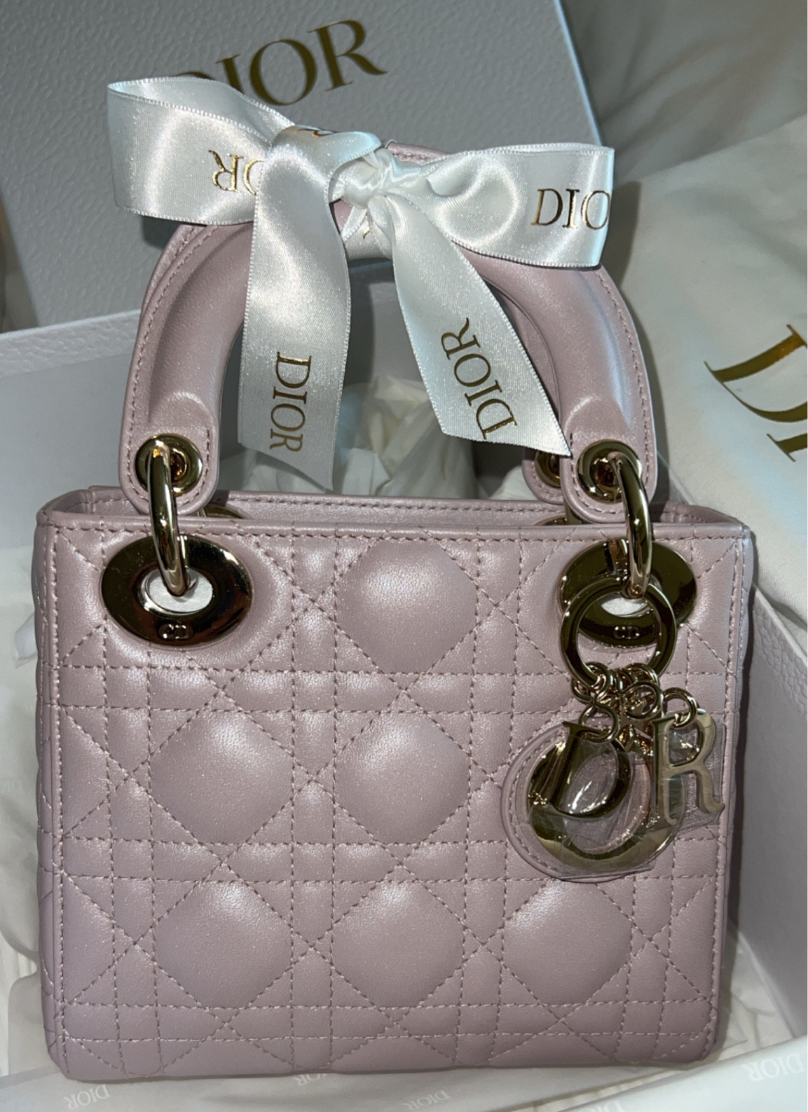 Dior her 🦋

#LTKitbag #LTKSeasonal #LTKtravel