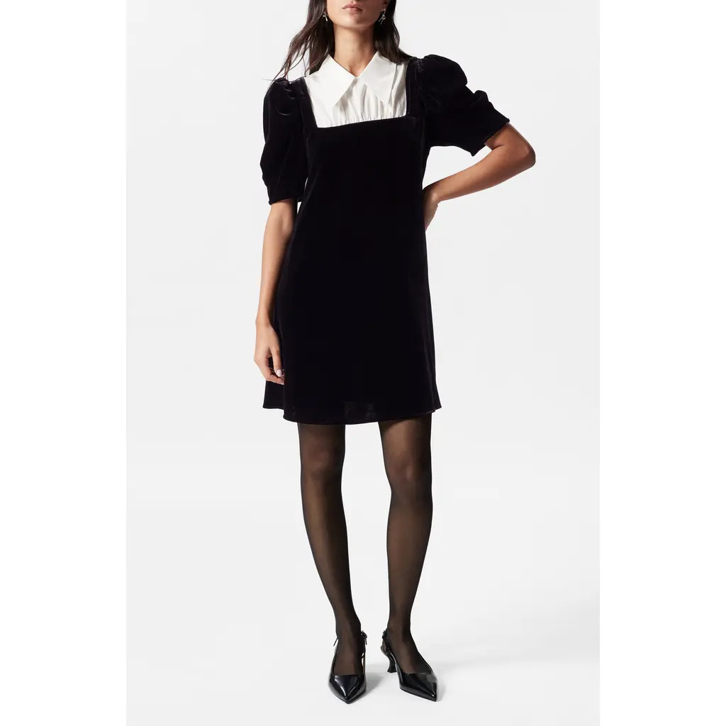 & Other Stories Collar Velvet Minidress in Black Dark at Nordstrom, Size 0 | Nordstrom