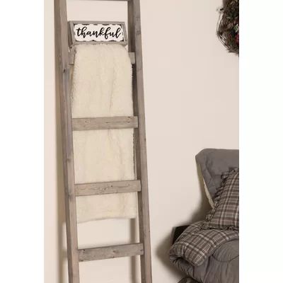6 ft Blanket Ladder Latitude Run Color: Weathered Gray | Wayfair North America