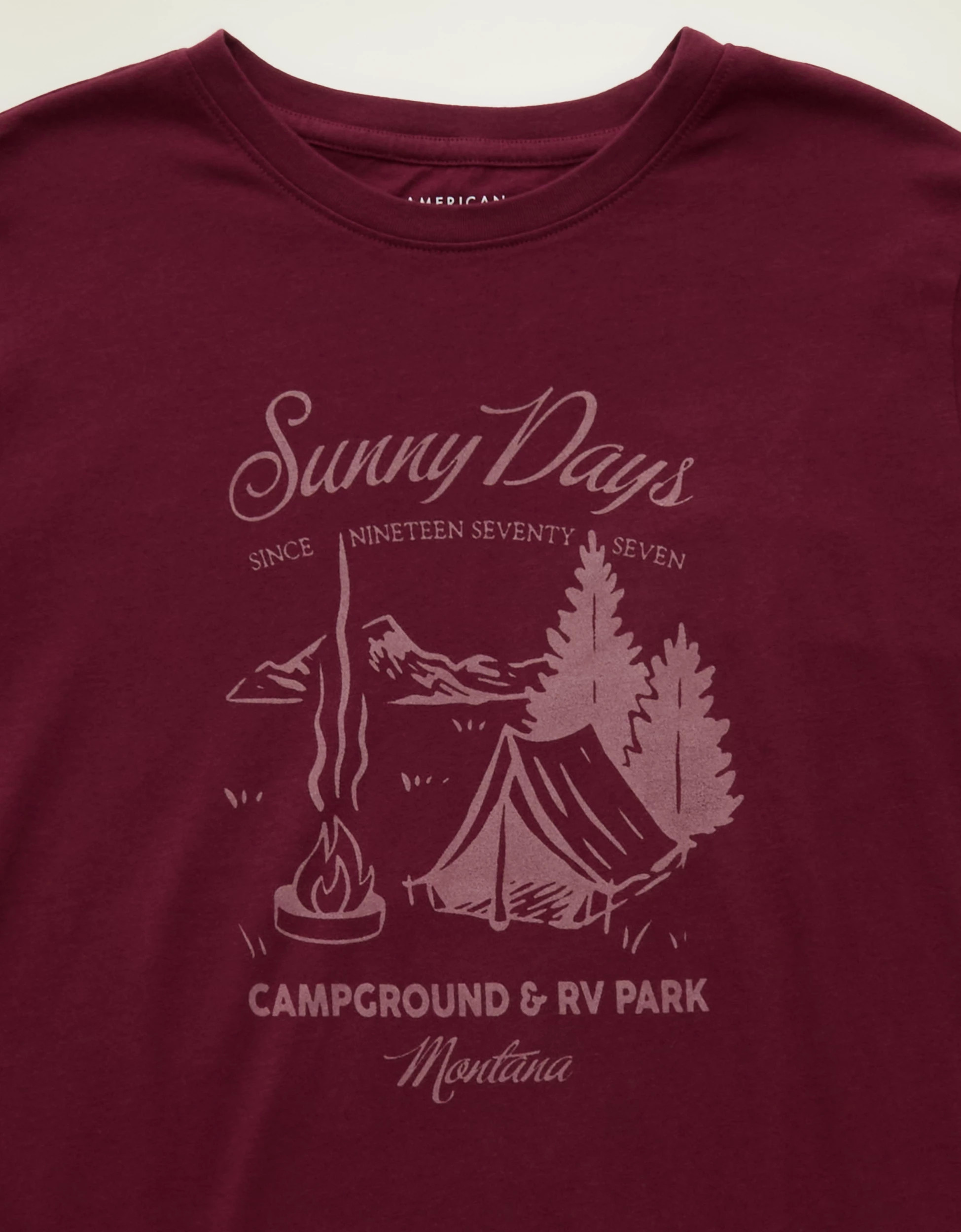 AE Everyday T-Shirt | American Eagle Outfitters (US & CA)