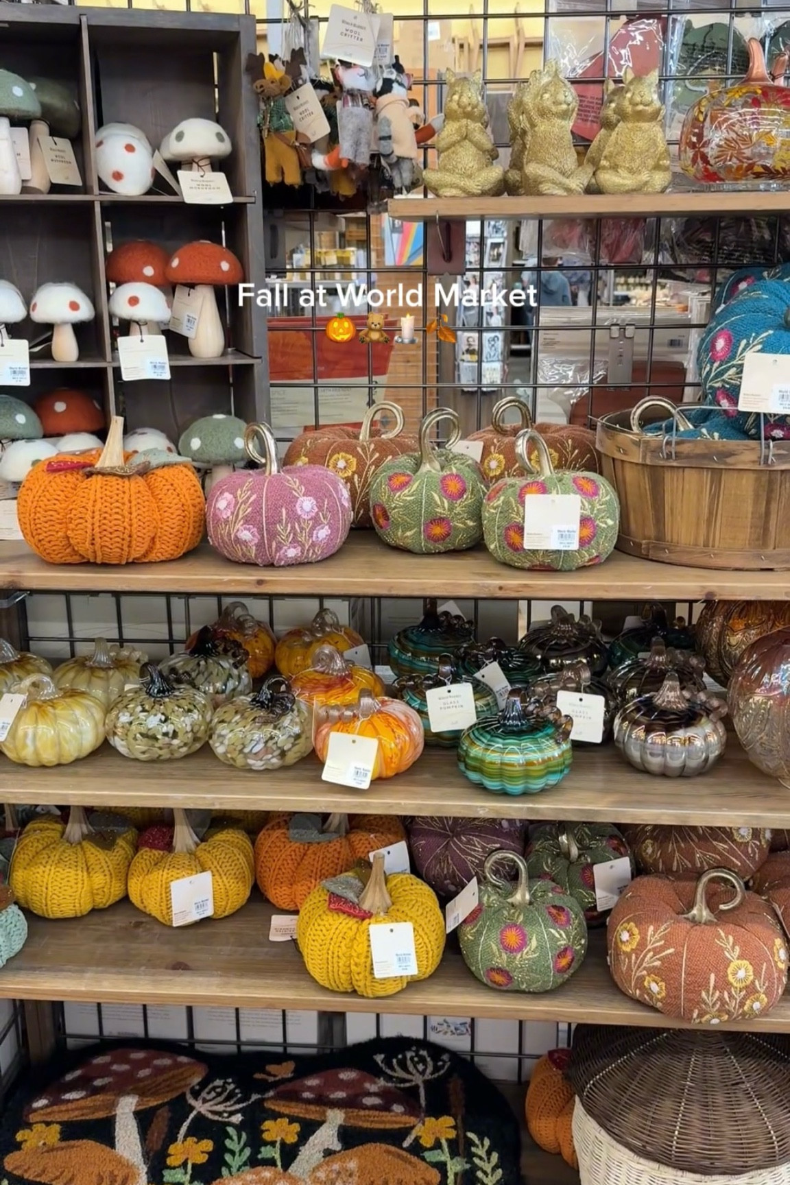 FALL at worldmarket🎃🍂

#LTKSeasonal #LTKHome #LTKFindsUnder50