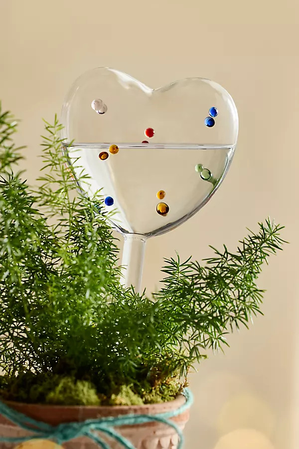 Confetti Glass Heart Watering Globes, Set of 2 | Anthropologie (US)
