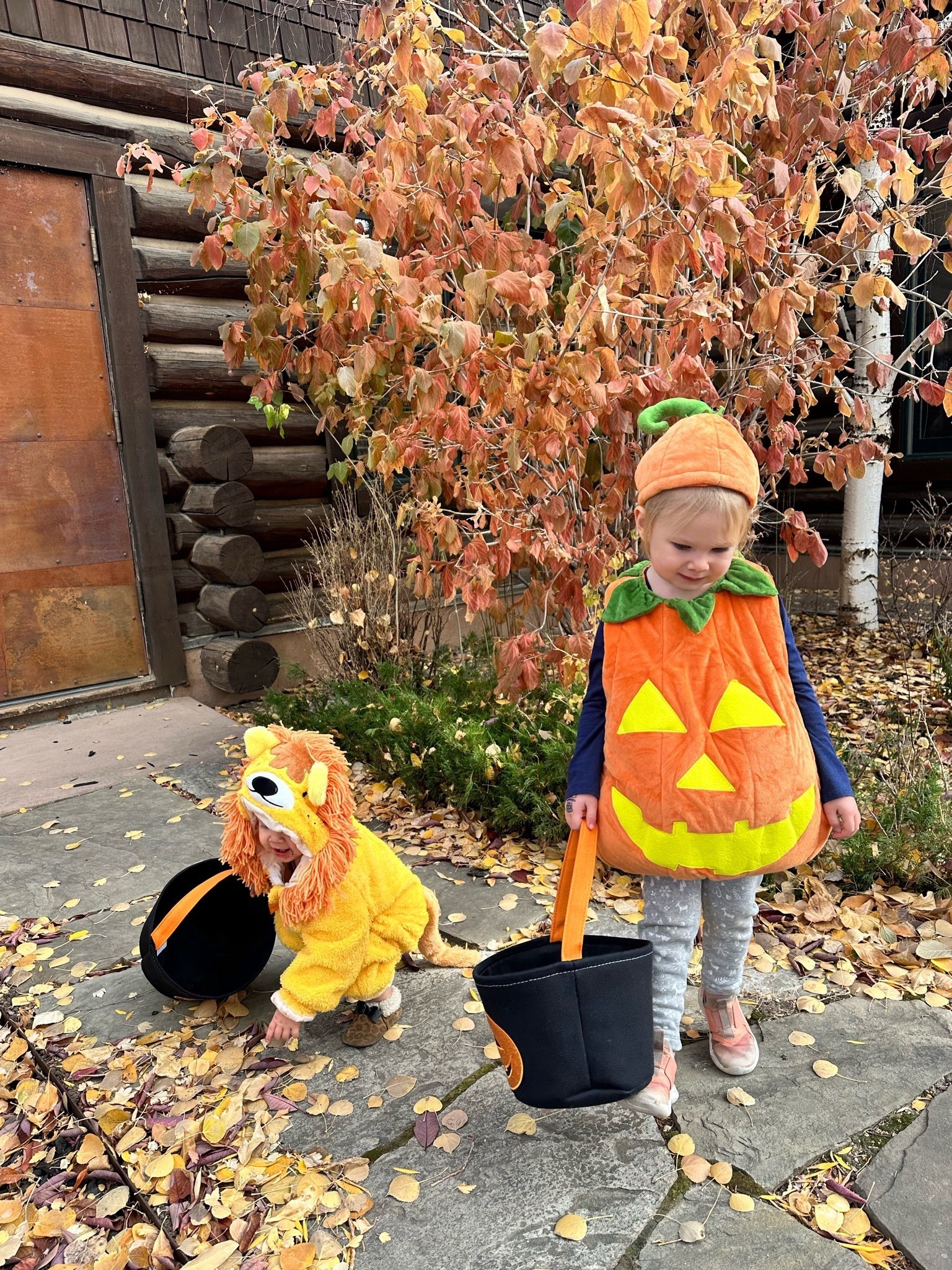 🎃✨ Spooky season must-have! This Glow-in-the-Dark Pumpkin Halloween Costume is the cutest mix of festive + functional. Perfect for trick-or-treating, school parties, and all the fall fun — plus it actually glows at night for extra Halloween magic. 👻🌙
#HalloweenCostume #GlowInTheDark #PumpkinCostume #KidsHalloween #TrickOrTreatReady #SpookySeason #LTKHalloween #CostumeGoals


#LTKFindsUnder100 #LTKKids #LTKBaby