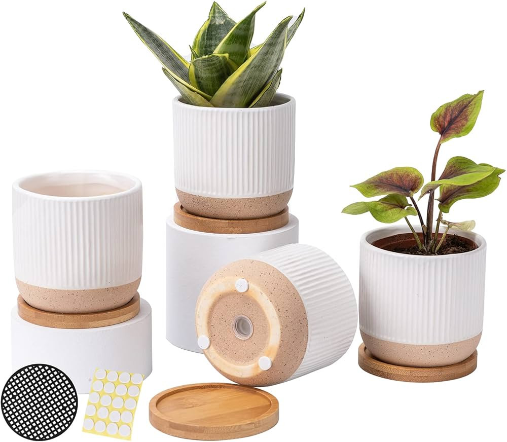 4 Inch Ceramic Plant Pots with Drainage Holes and Saucers, Modern Small Minimalist Flower Planter... | Amazon (US)