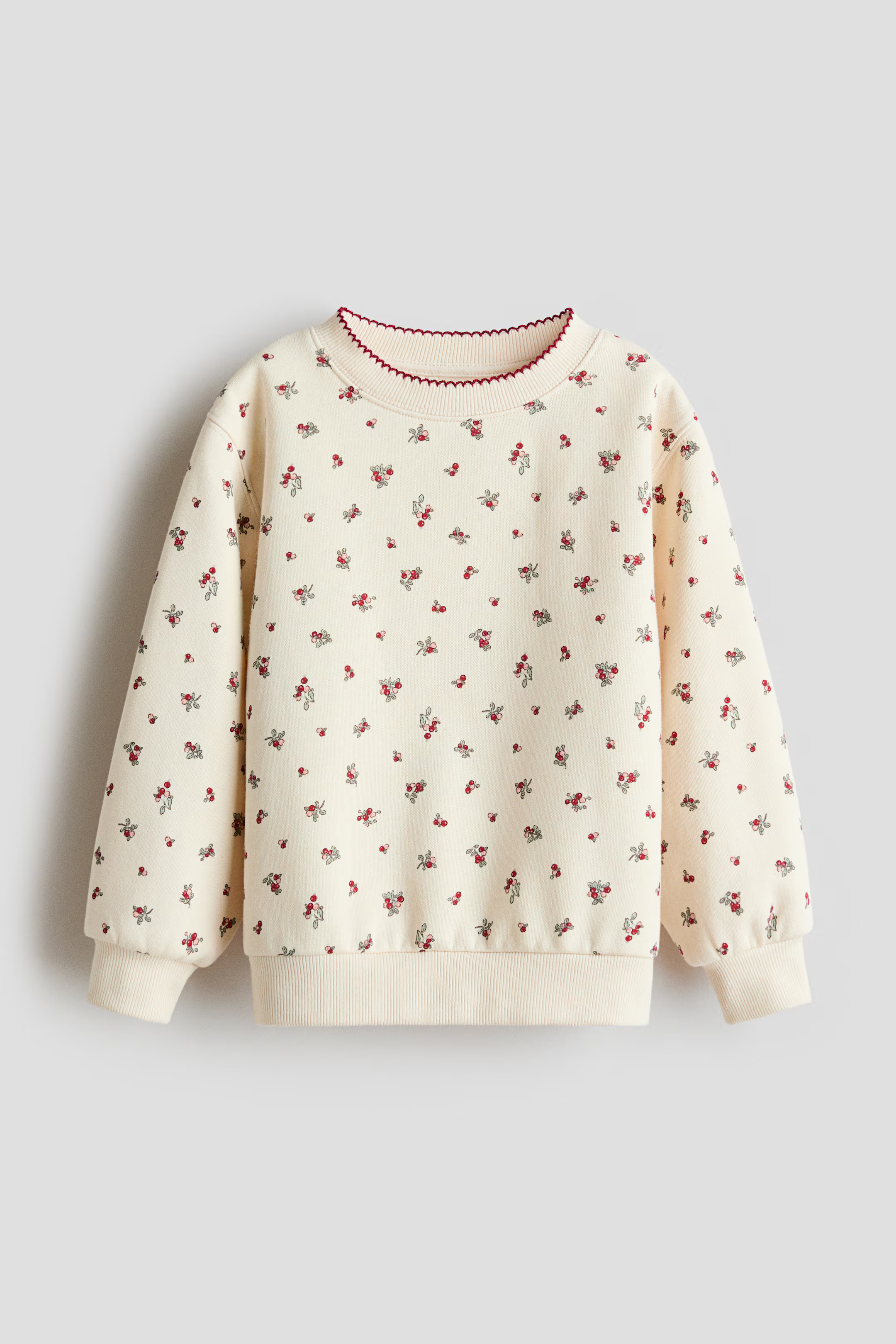 Printed Brushed-Inside Sweatshirt | H&M (US + CA)