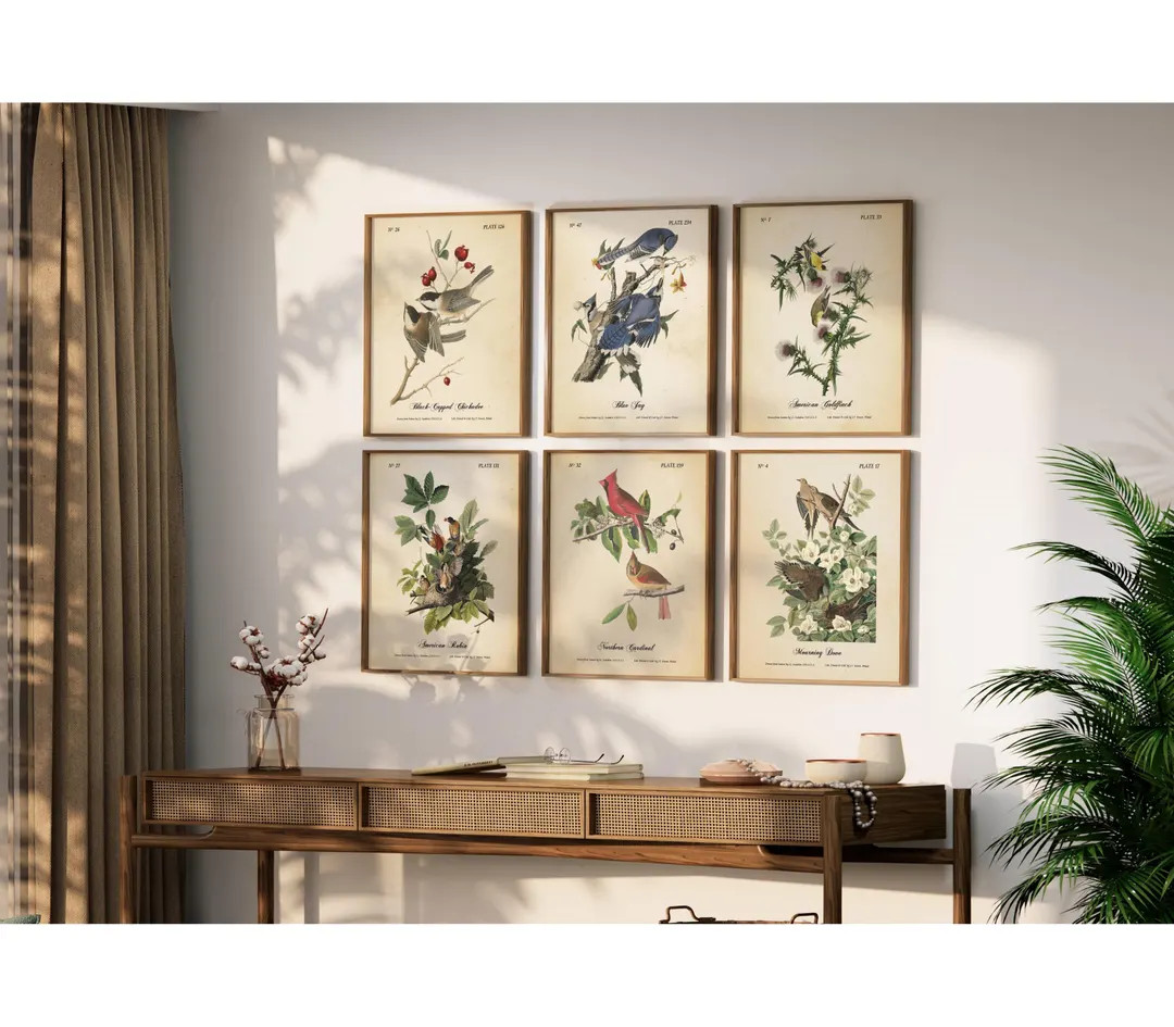 Michigan Birds Wall Art - Audubon Bird Prints - Vintage Background - Set of 6 - Etsy | Etsy (Global)