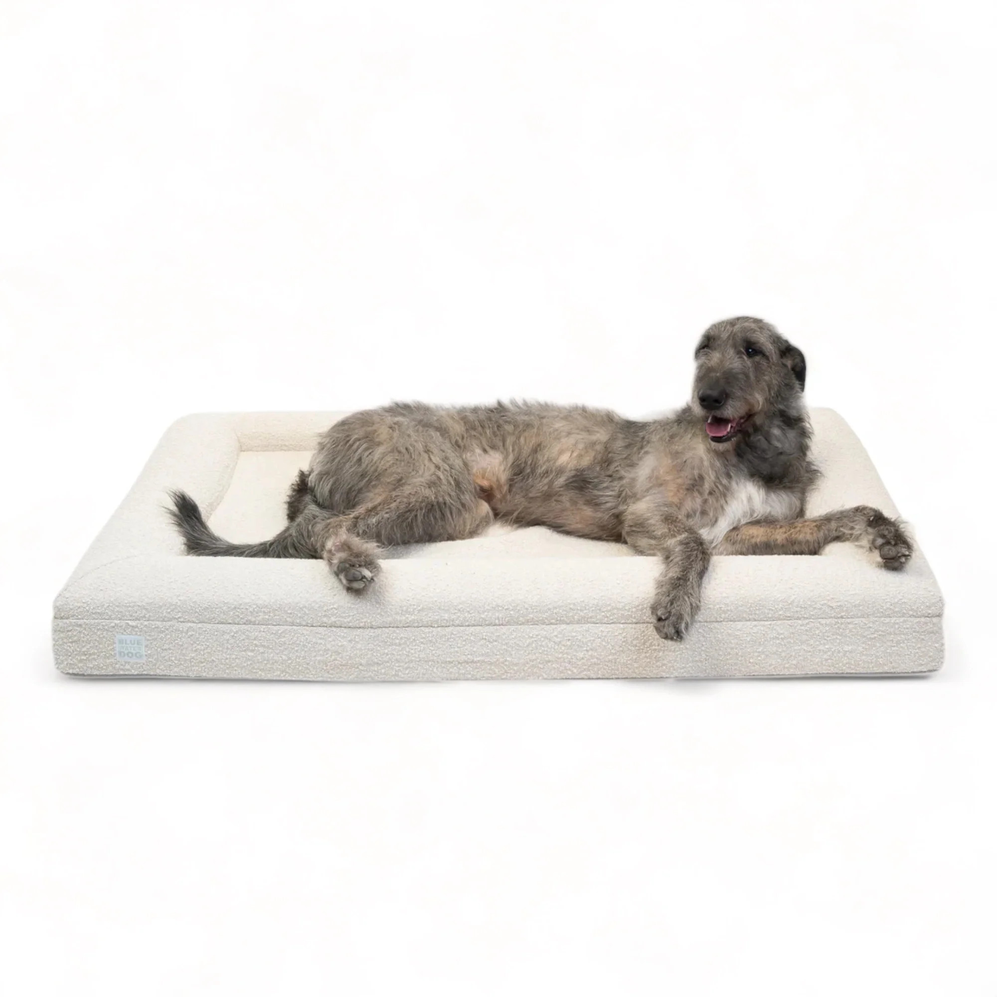 Extra Large Luxury Bouclé Orthopedic Bluewater Dog Bed (Cloud) | Bluewater Dog