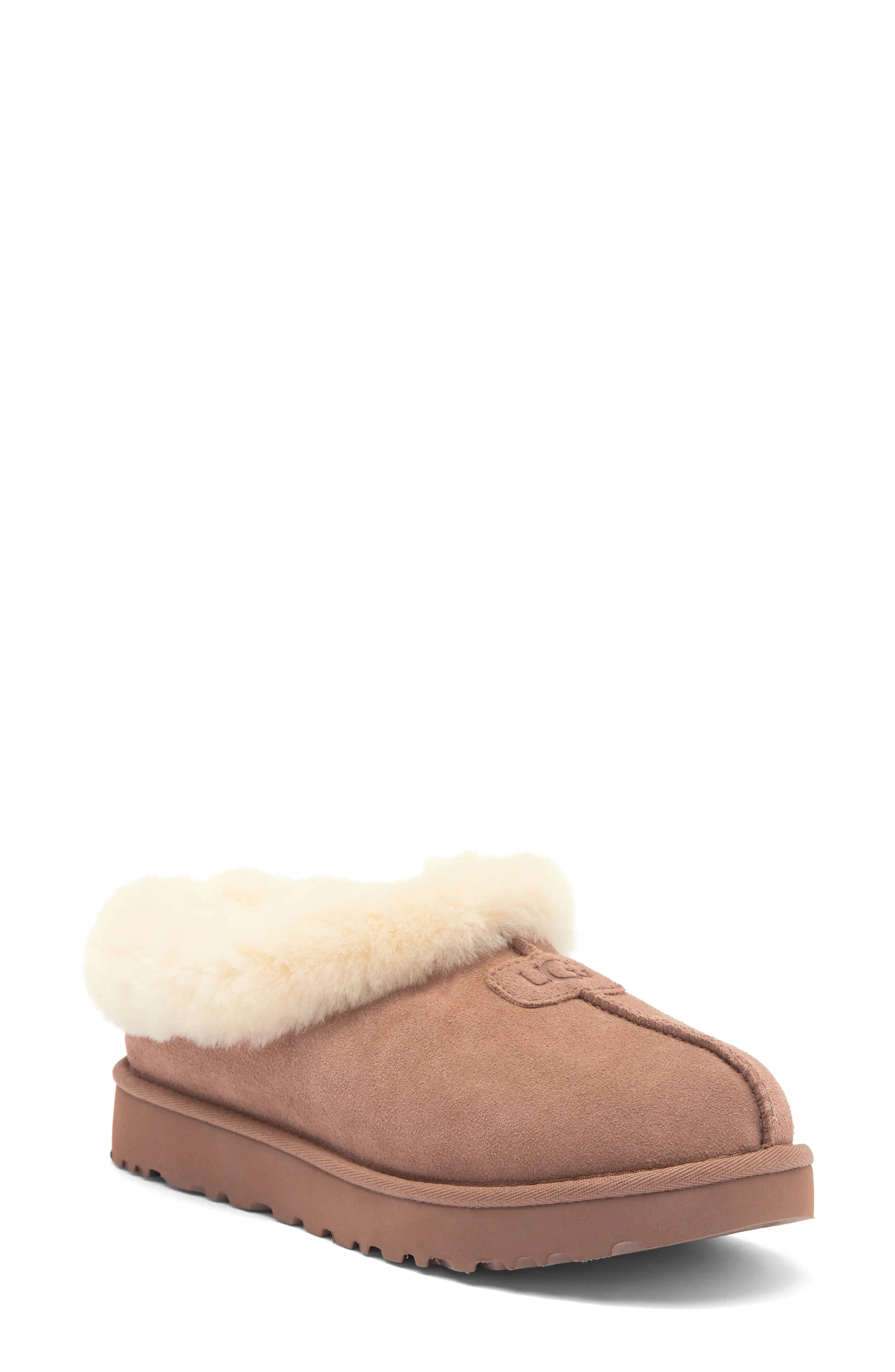 Tazzette Genuine Shearling Collar Slipper (Women) | Nordstrom | Nordstrom