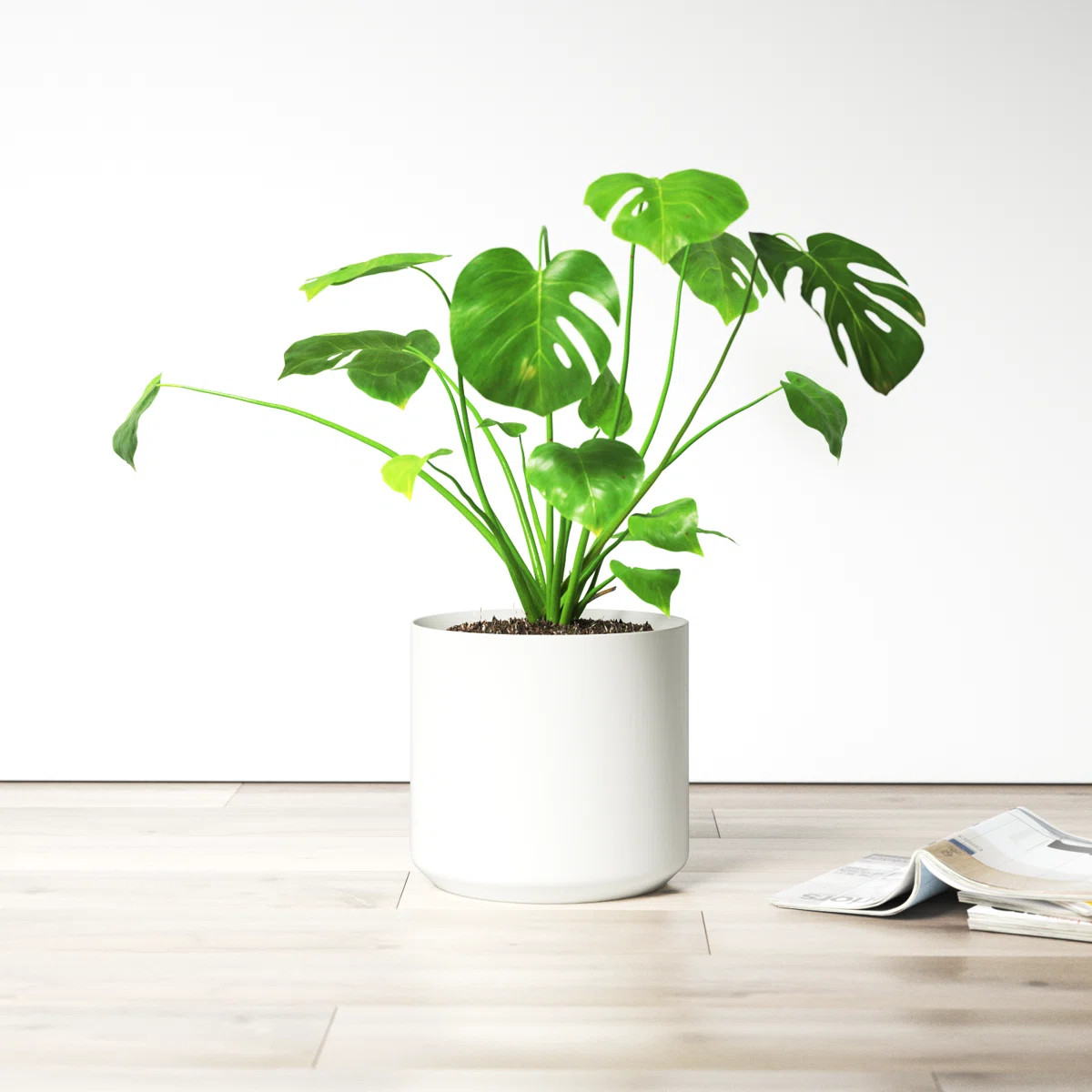 Parsons Handmade Ceramic Pot Planter | Wayfair North America
