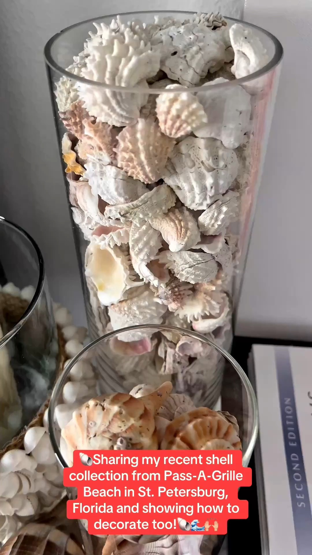 🐚Sharing my recent shell collection from Pass-A-Grille Beach in St. Petersburg, Florida and showing how to decorate too!🐚🌊🙌🏼

🐚COASTAL HOME DECOR: I’m starting to put together my summer seashell collection and wanted to share my progress with you!

🐚I keep purchasing glass vases to showcase all of the seashells that I have personally found on the Florida beaches that I’ve visited.

🐚Also found the cutest ceramic seashell box with lid and seashell trinket dish.

📚Had to throw in my go to seashell books and ginger jars that are on repeat year after year.

🍍Going for a pink summer coastal vibe. So far I’m loving it!


#LTKSeasonal #LTKOver40 #LTKSaleAlert #LTKstorytime #LTKHome #LTKvlog