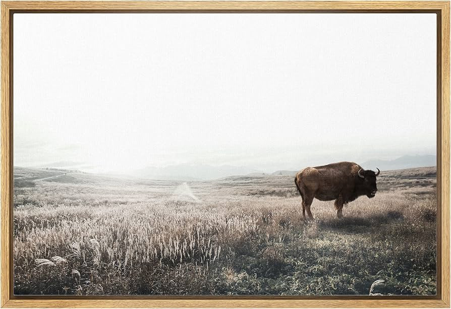 SIGNLEADER Framed Canvas Print Wall Art Bison Buffalo Misty Washed Out Landscape Animals Wildlife... | Amazon (US)