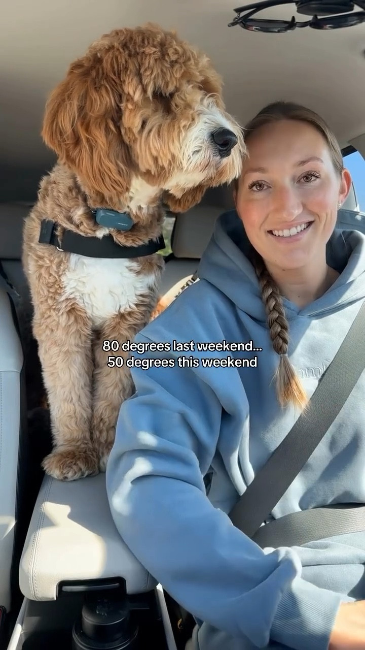 Midwest weather is unreal 

Comment “hoodie” and I’ll send you the link 🤍 (must be following me due to IG policy)

#midwestlife #lifestylecreator #springweather #dogmom #dayinthelife @comfrt

#LTKootd #LTKSeasonal #LTKvlog
