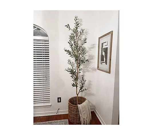 82" Olive Artificial Tree by Nearly Natural | QVC