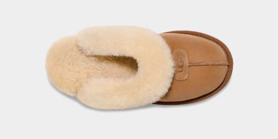 UGG® Coquette for Women | Most Comfortable House Slippers at UGG.com | UGG (US)