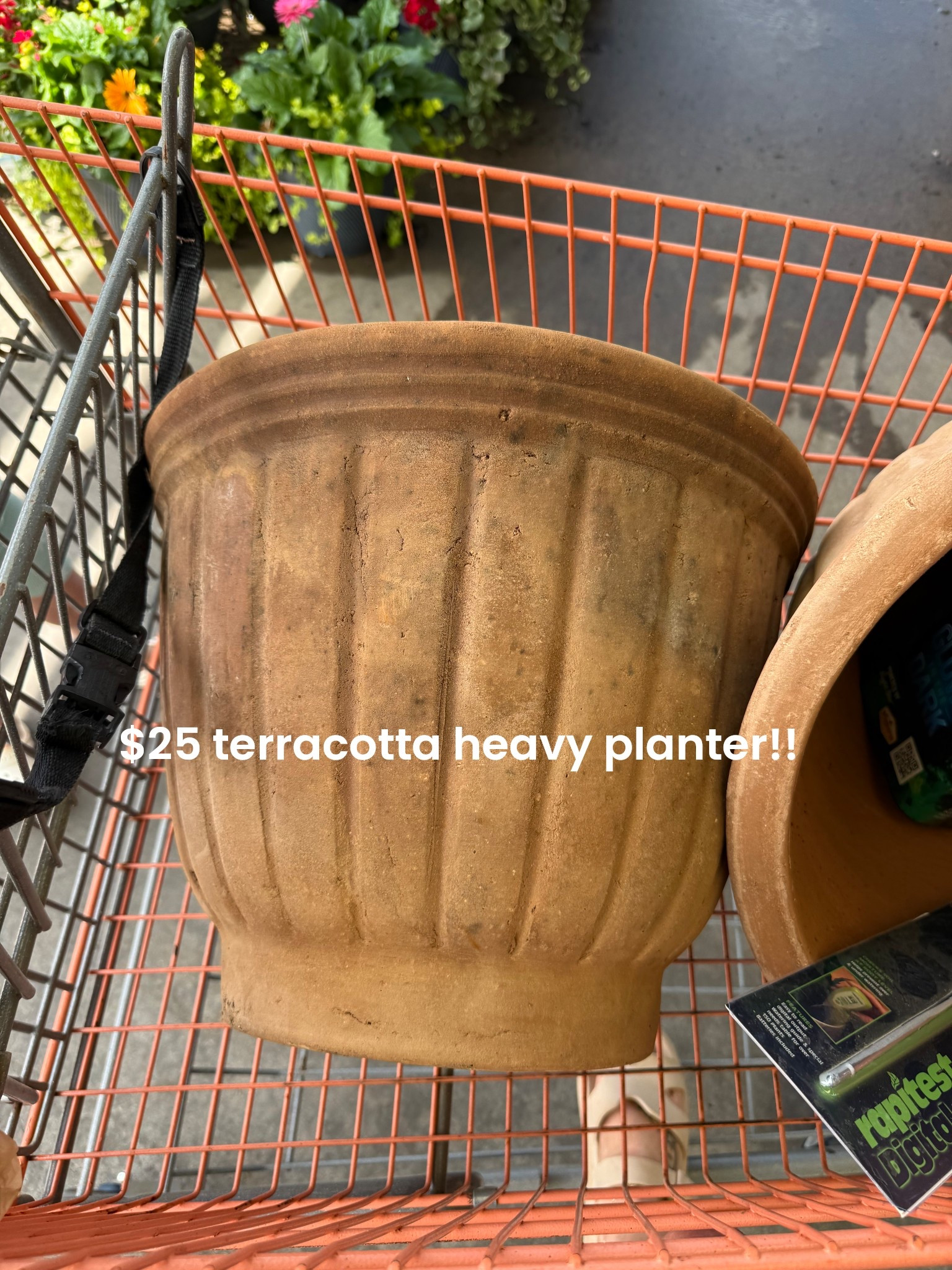 Just found these large heavy terra cotta planter pots from Home Depot!! Only $25!! Sharing here before I share on Instagram!! I LOVE the already aged look! 

#LTKHome #LTKSeasonal