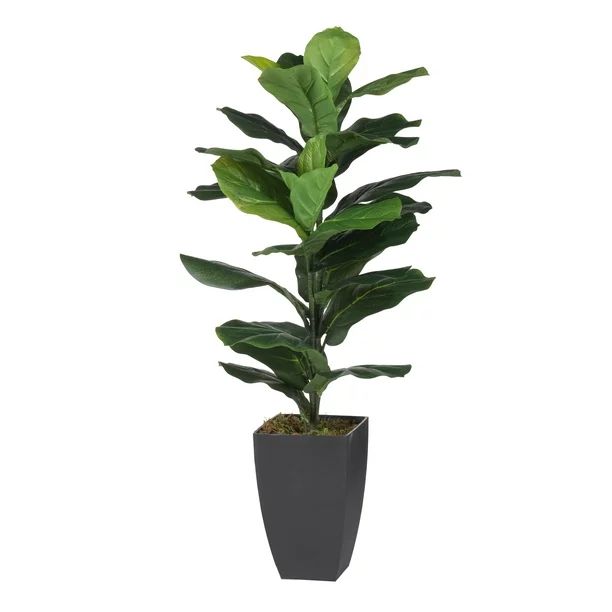 Potted Fiddle-Leaf Fig Plant - Green | Walmart (US)