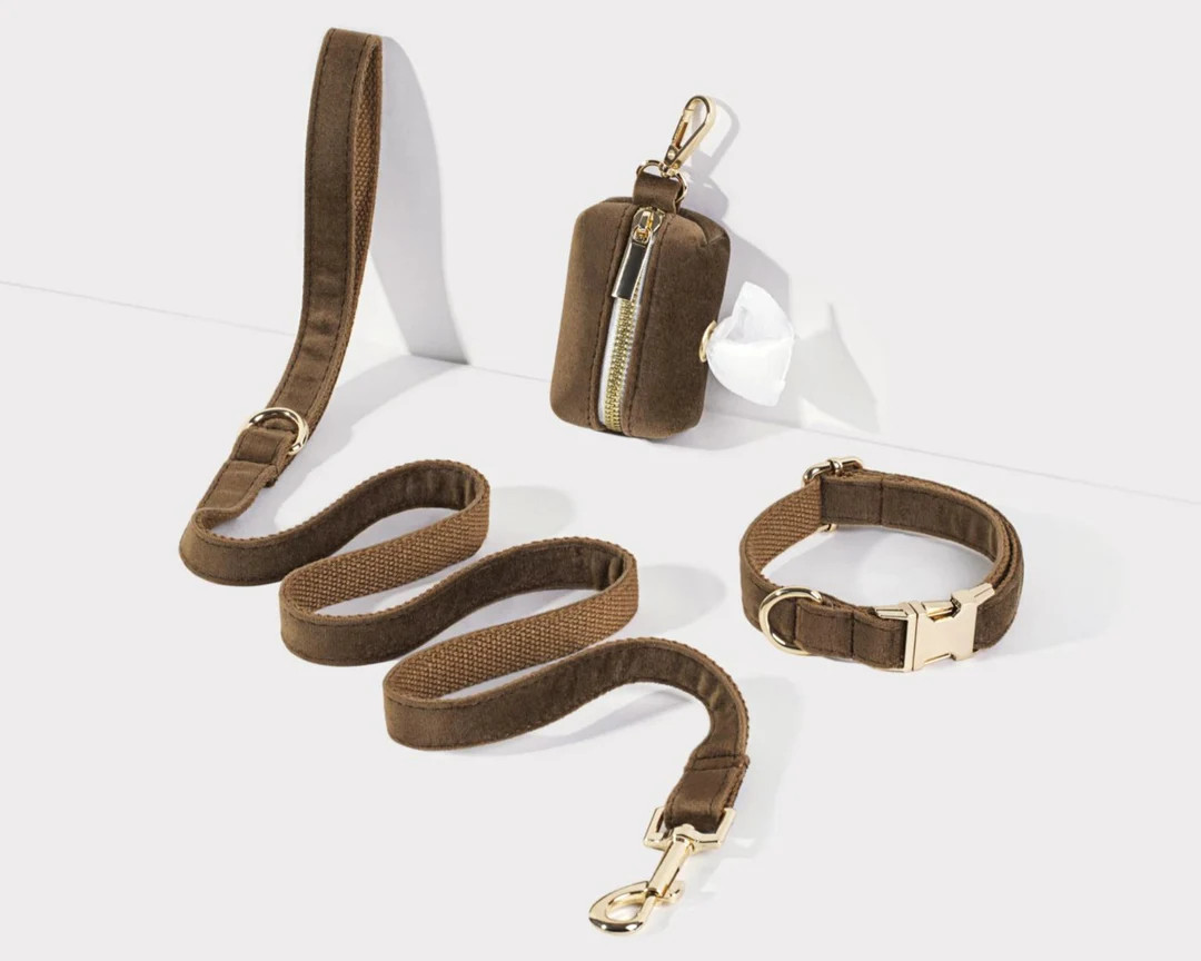 Personalised Puppy Collar Leash Set for Wedding Gift,luxurious Dog Collar Leash With Poop Bag Dis... | Etsy (US)