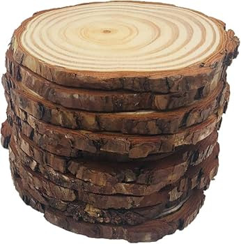 10pcs Wood Slices 4-4.7 inch Unfinished Natural with Tree Barks Large Wood Circle Coaster Craft R... | Amazon (US)